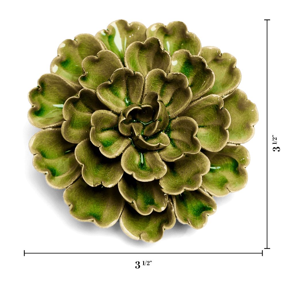 Avocado Green Petunia - Chive UK