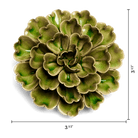 Avocado Green Petunia - Chive UK