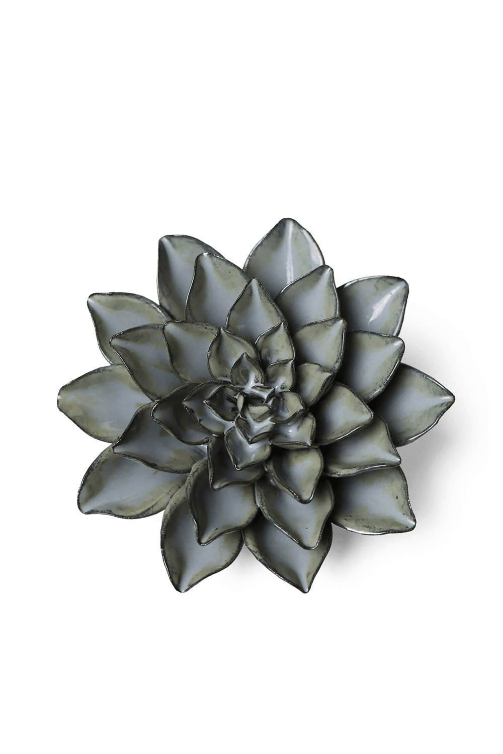 Grey Goyet Azalea - Chive UK