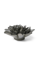 Grey Goyet Azalea - Chive UK