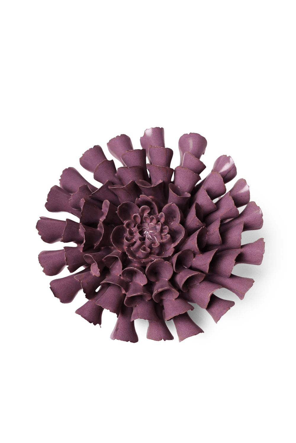 Violet Blue Cornel Dahlia - Chive UK