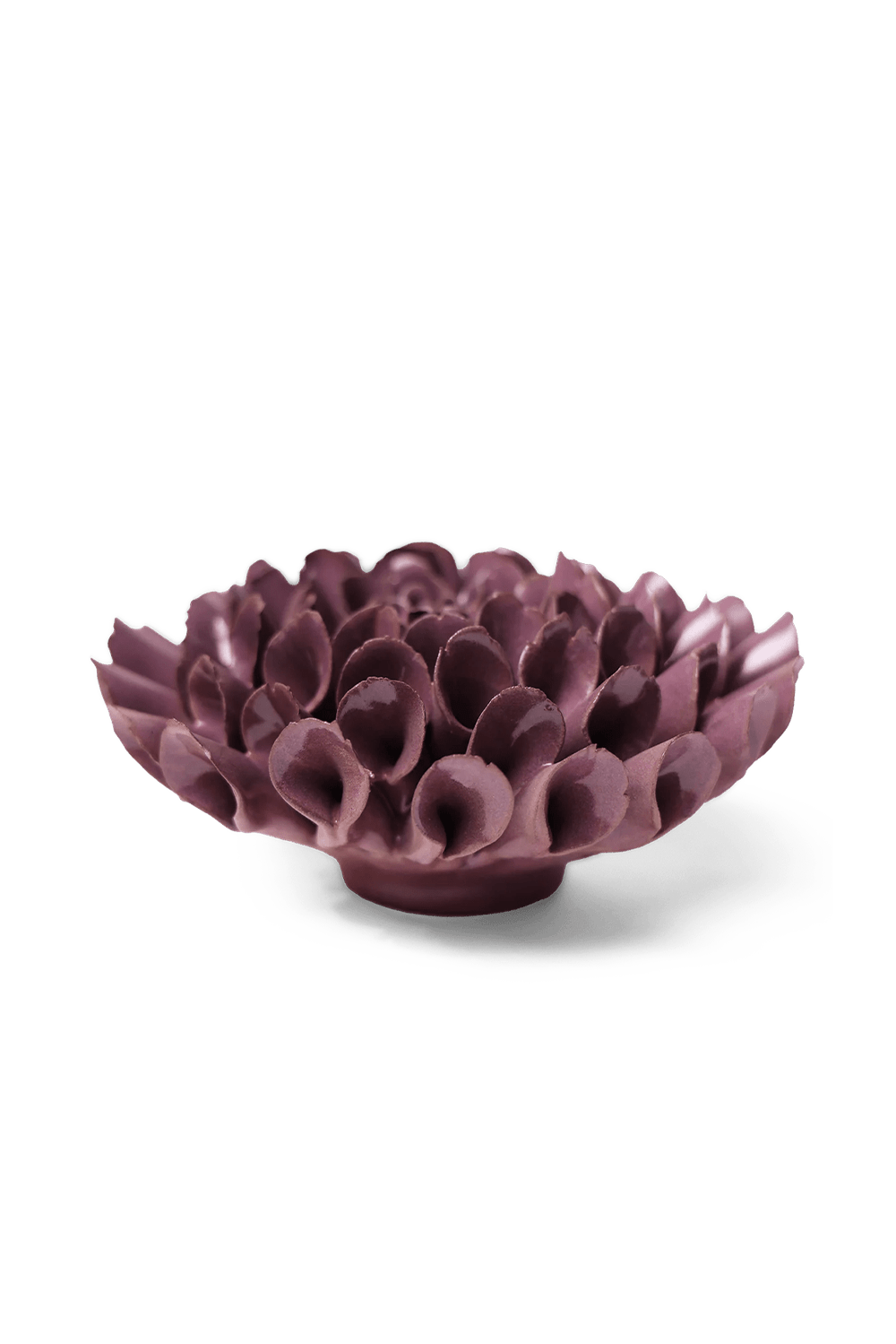 Violet Blue Cornel Dahlia - Chive UK