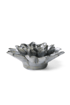 Grey Green Monch Aster - Chive UK