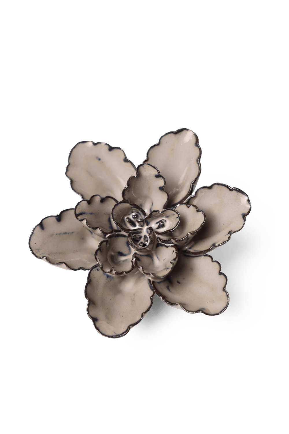 Latte Empress Lotus - Chive UK