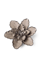 Latte Empress Lotus - Chive UK