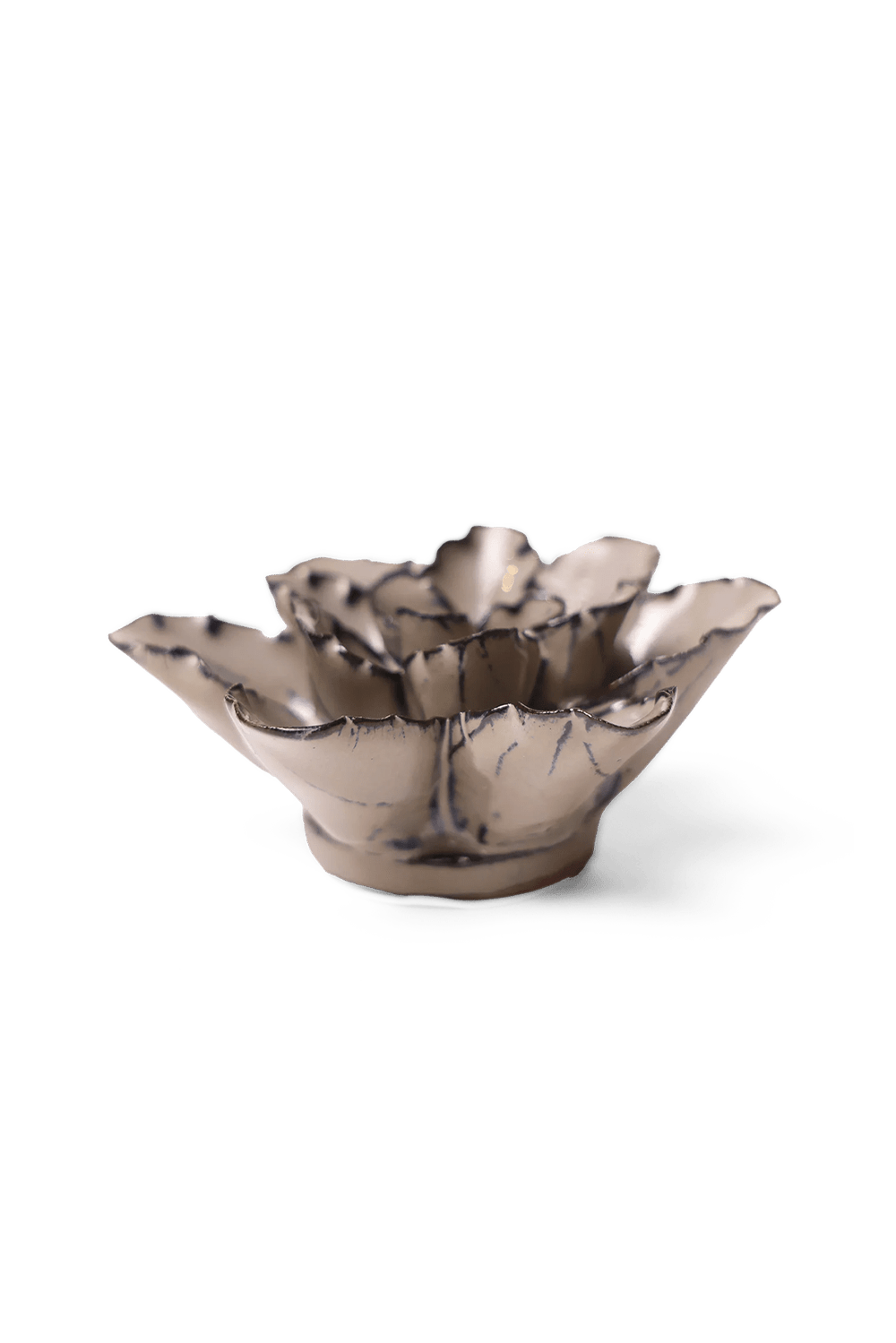 Latte Empress Lotus - Chive UK