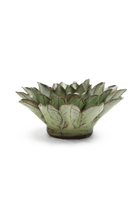 Pear Green Calico Aster - Chive UK