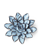 Seasonal Blue Alpine Aster - Chive UK