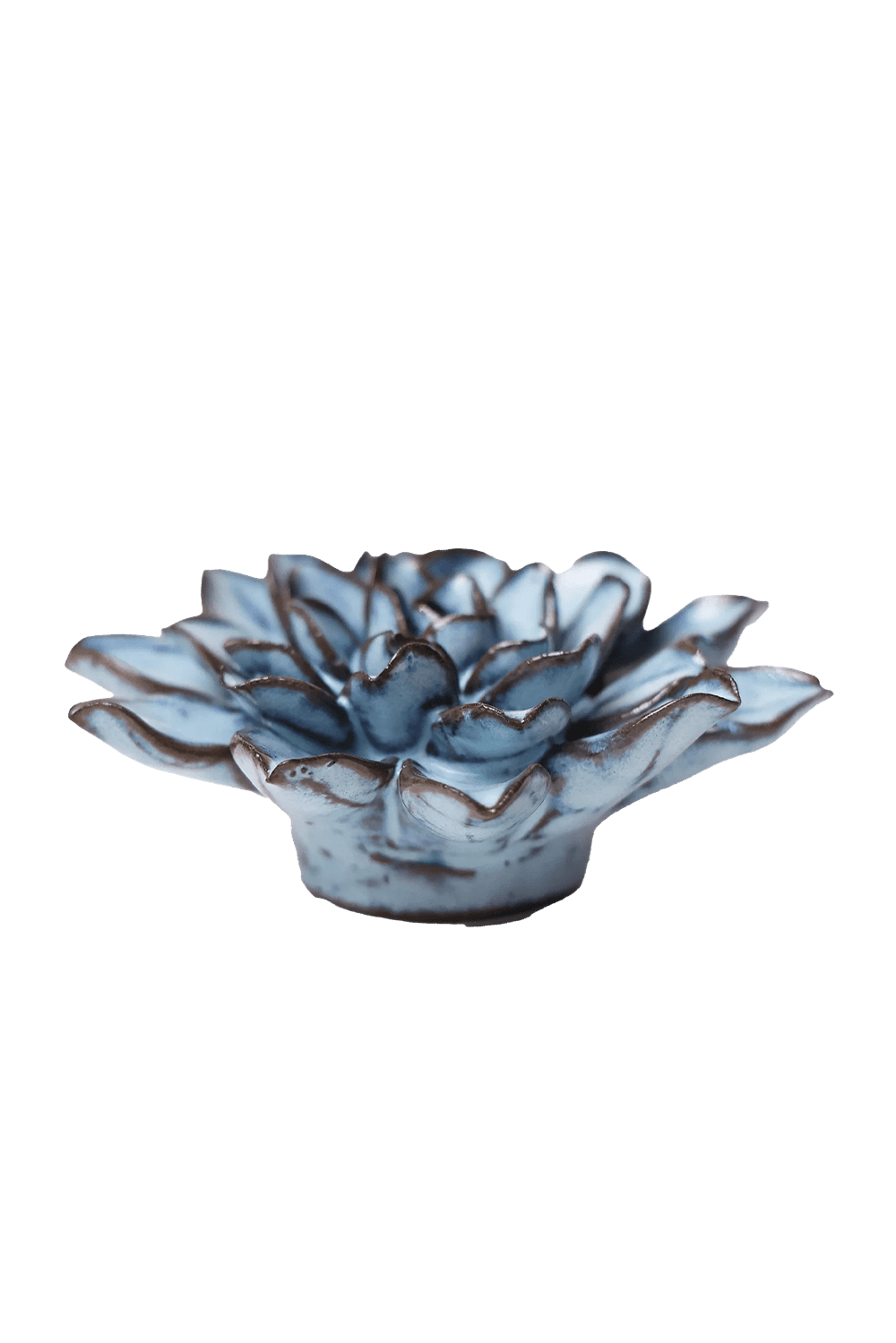 Seasonal Blue Alpine Aster - Chive UK