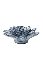 Seasonal Blue Alpine Aster - Chive UK