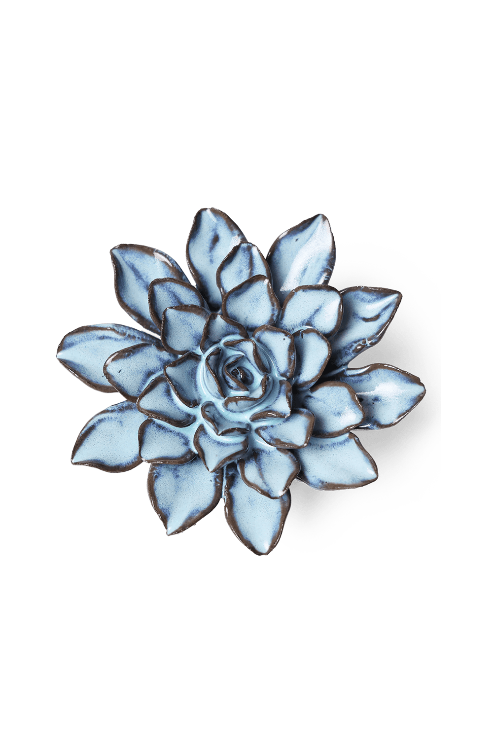 September Birth Flower - Aster - Chive UK