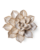 Japan Ceramic Flower Pearl Aster - Chive UK