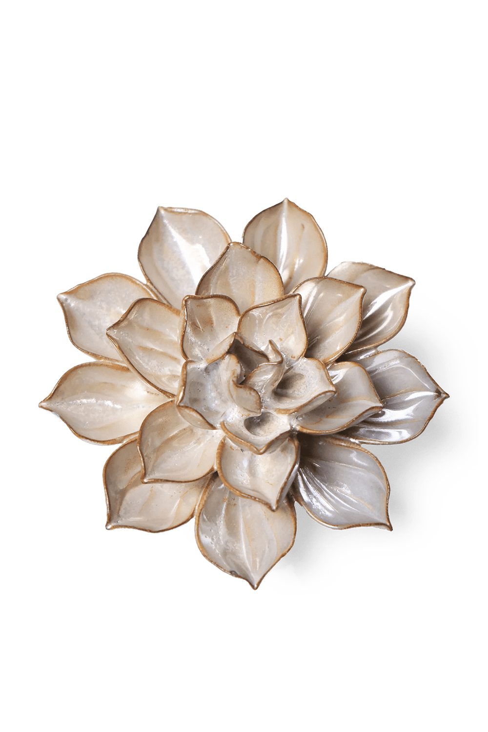 Metallic Frikartii Aster - Chive UK