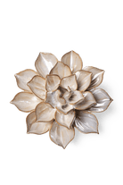 Metallic Frikartii Aster - Chive UK