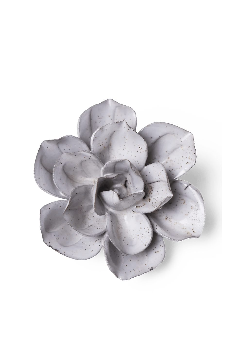 Cement Aqualla Gardenia - Chive UK