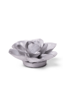 Cement Aqualla Gardenia - Chive UK