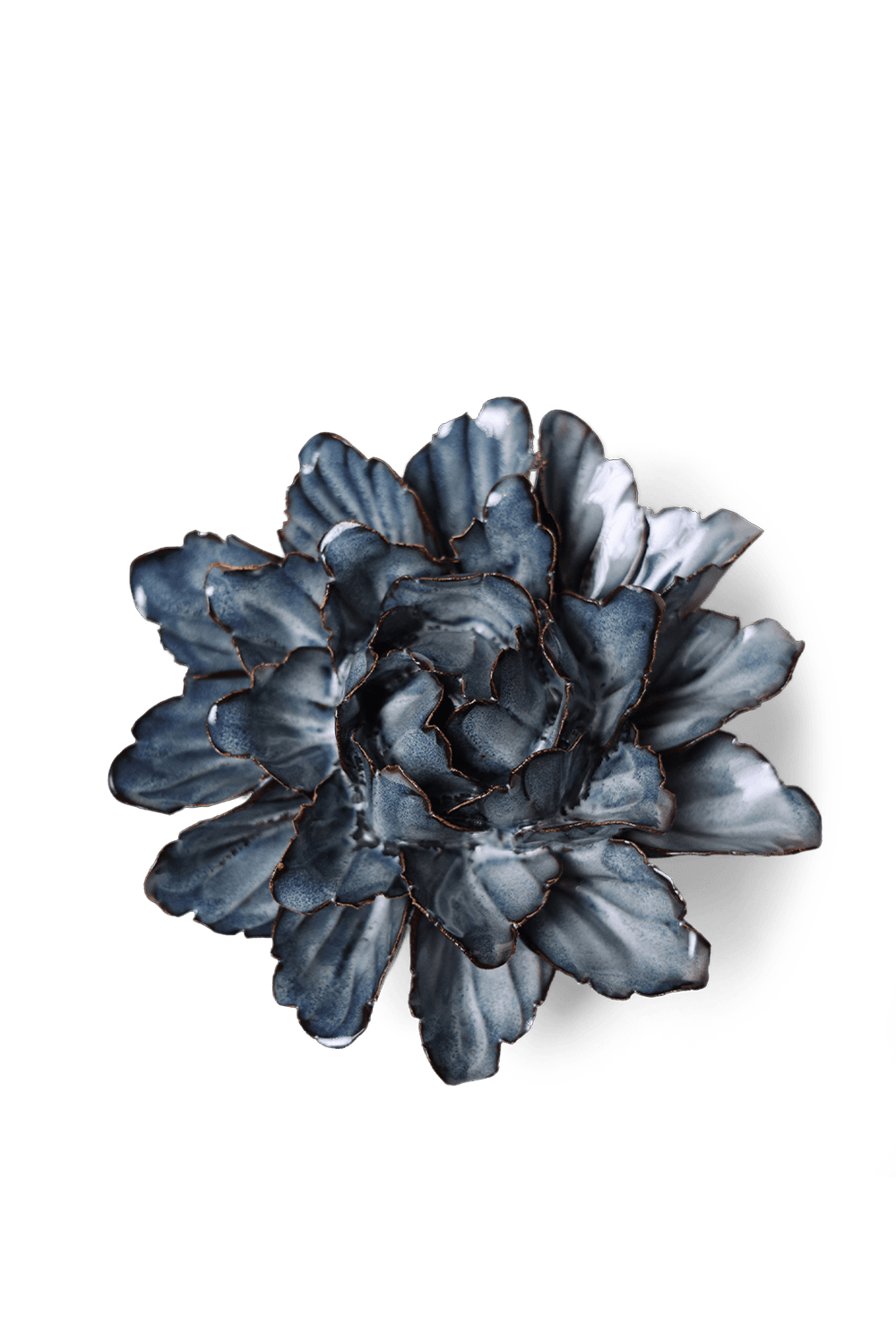 Navy Sorbet Peony - Chive UK