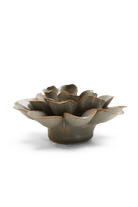 Moss Grey Oxeye Daisy - Chive UK