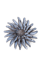 Blue Grey Gerbera Daisy - Chive UK