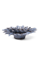 Blue Grey Gerbera Daisy - Chive UK