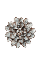 Chocolate Mint Echo Lisianthus - Chive UK