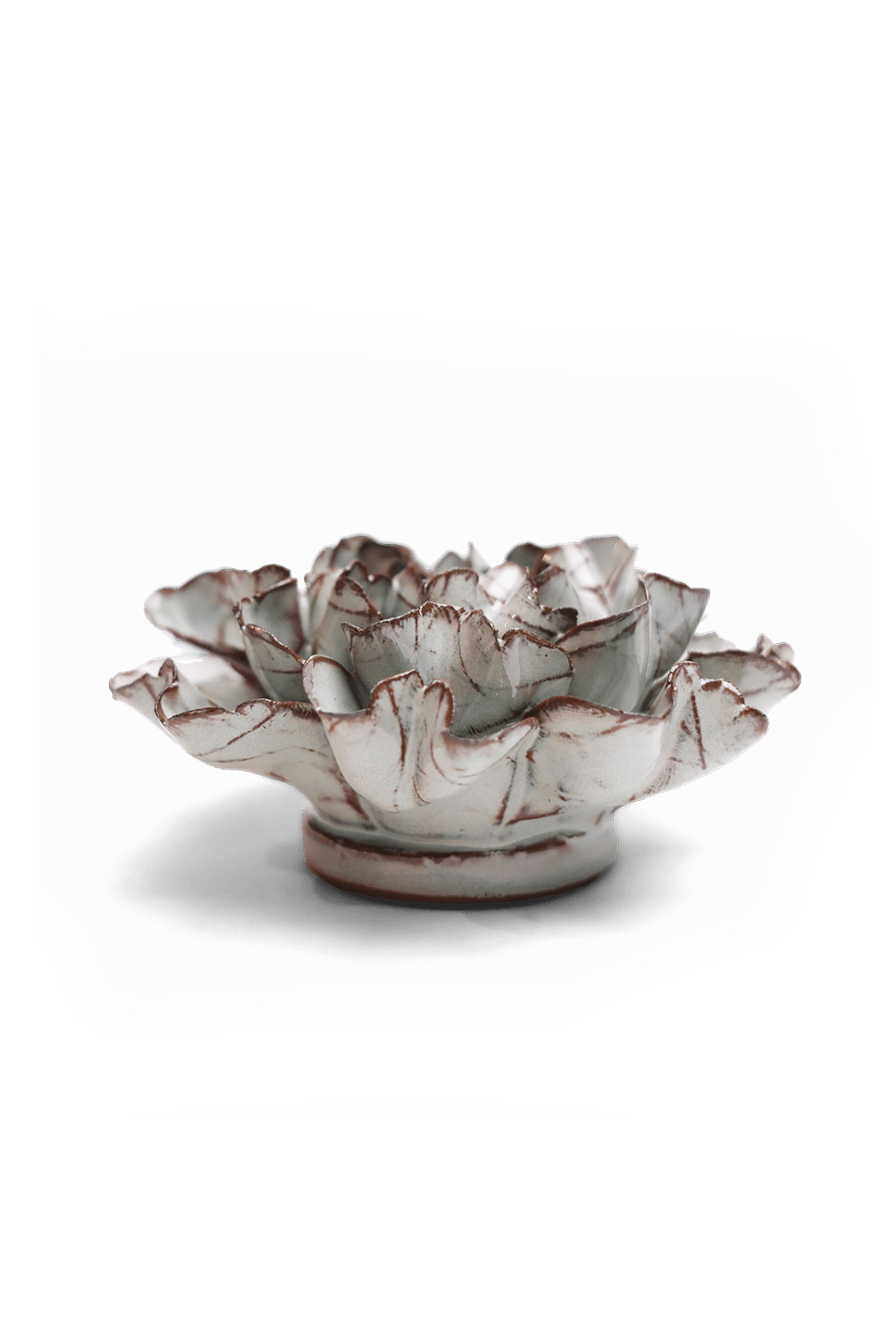 Chocolate Mint Echo Lisianthus - Chive UK