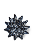 Navy Blue Chalksticks Succulent - Chive UK