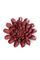 Blush Pink Star Dahlia - Chive UK