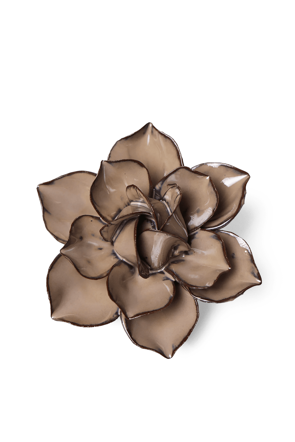 Latte Daffodil - Chive UK