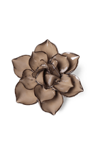 Latte Daffodil - Chive UK