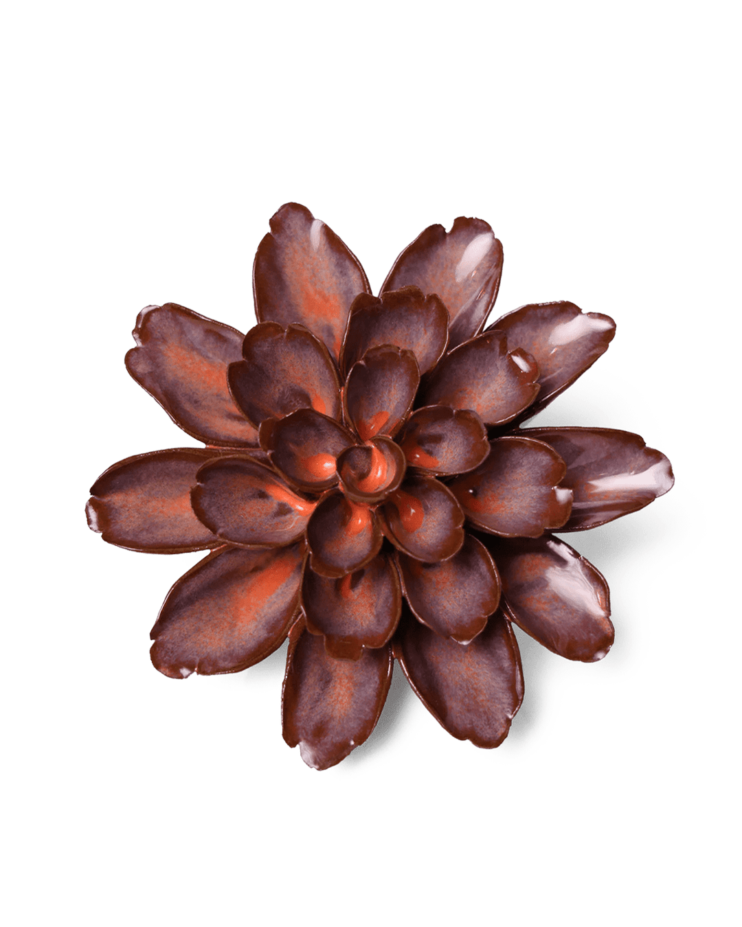 Peach Mocha Cornflower - Chive UK