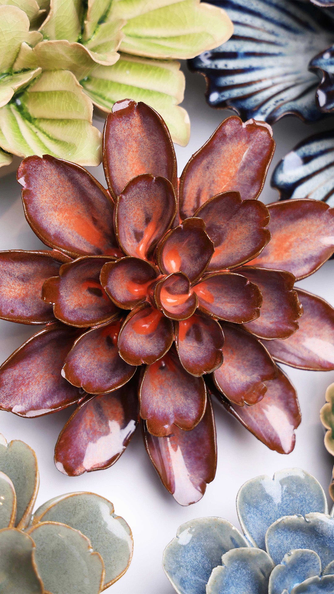 Peach Mocha Cornflower - Chive UK