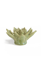 Pea Green Ghost Succulent - Chive UK