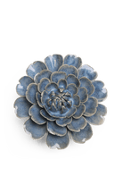 Fancy Blue Fiesta Marigold - Chive UK