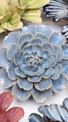 Fancy Blue Fiesta Marigold - Chive UK