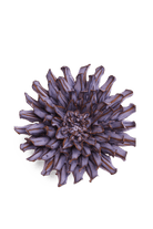 Violet Blue Fleur De Lis Mum - Chive UK