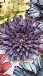 Violet Blue Fleur De Lis Mum - Chive UK