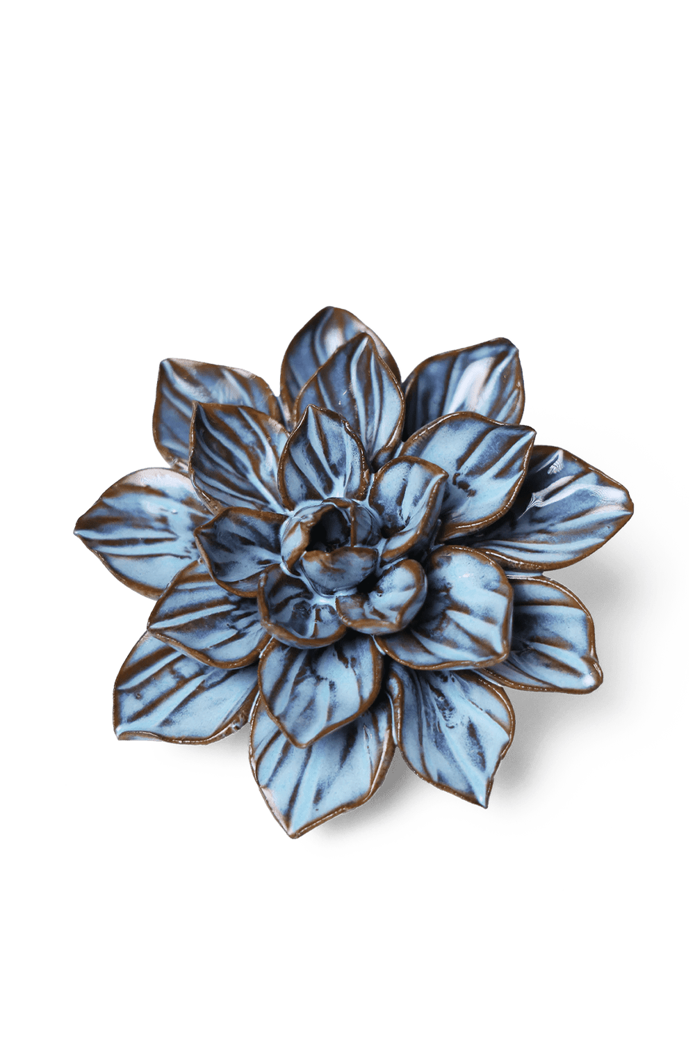 Seasonal Blue Frikartii Aster - Chive UK