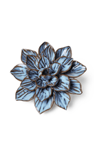 Seasonal Blue Frikartii Aster - Chive UK