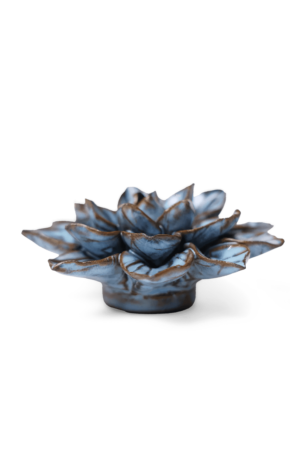 Seasonal Blue Frikartii Aster - Chive UK