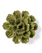 Japan Ceramic Flower Olive Petunia - Chive UK