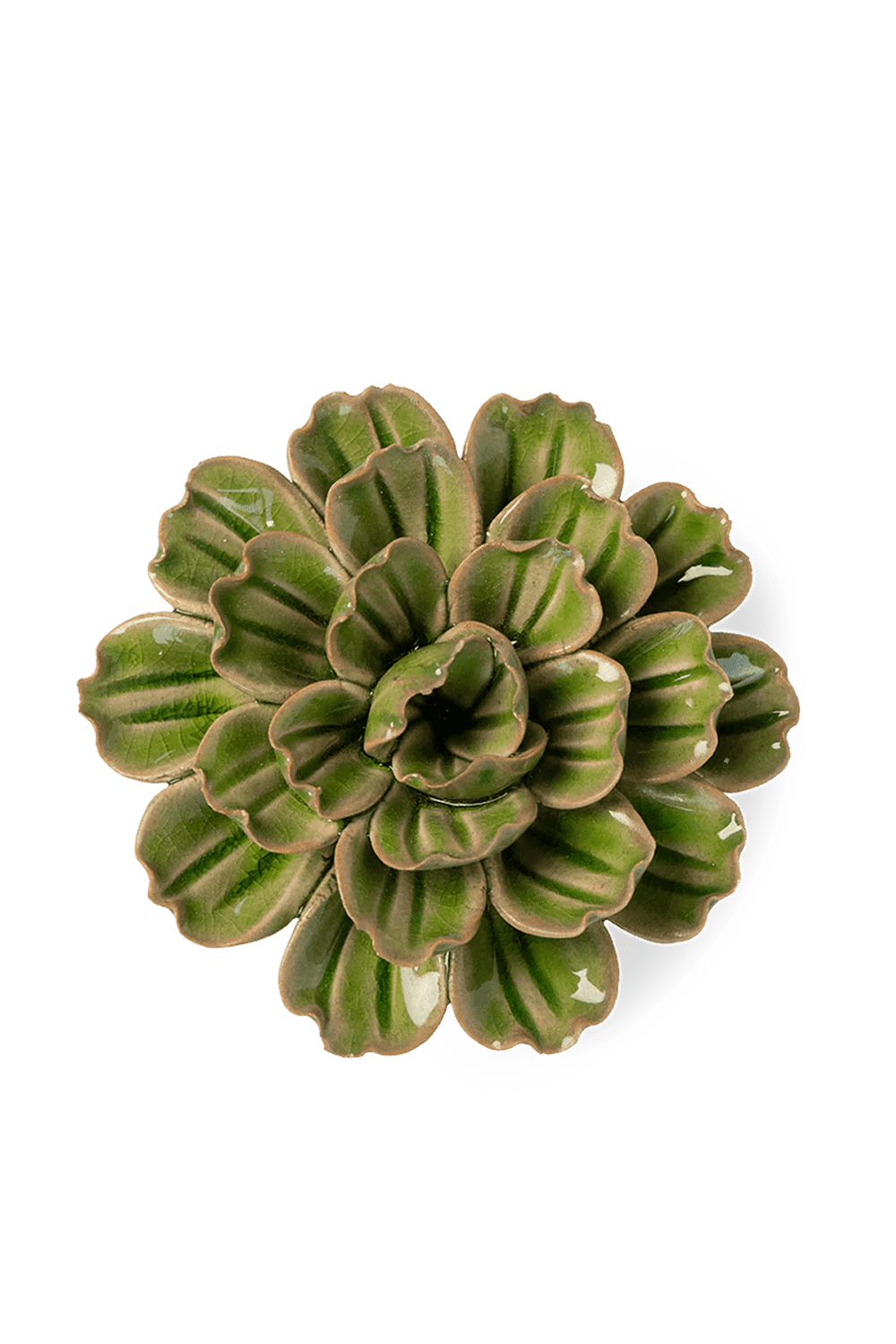 Avocado Green Petunia - Chive UK