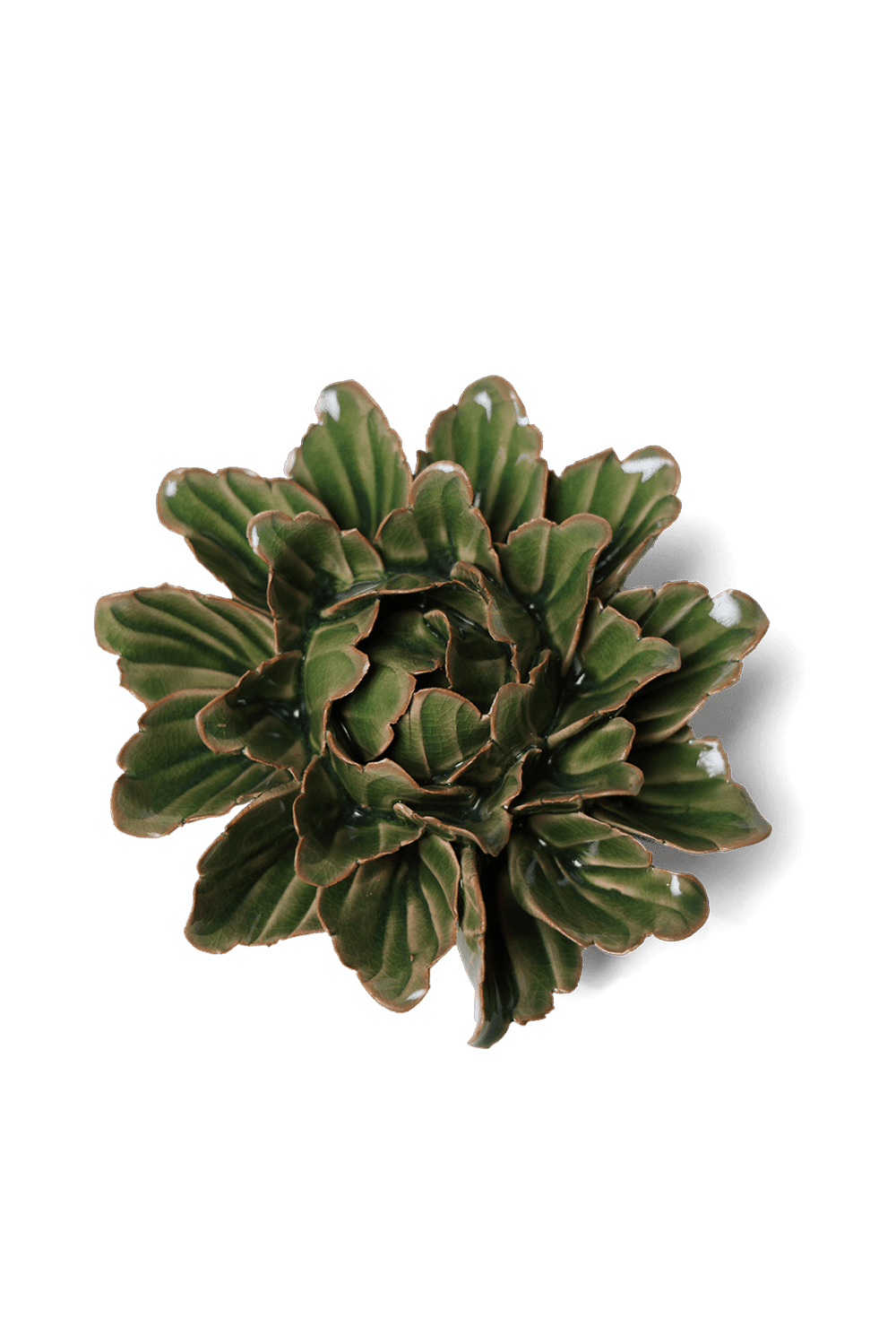 Avocado Green Sorbet Peony - Chive UK