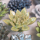 Ceramic Flower Japan Curated Collection #13 - Chive UK