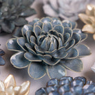 Ceramic Flower Japan Curated Collection #15 - Chive UK