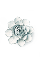 Nantucket Ceramic Flower Blue White Carnation - Chive UK