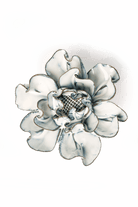 Nantucket Ceramic Flower Blue White Cosmos - Chive UK