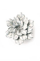 Nantucket Ceramic Flower Blue White Paperwhite - Chive UK