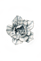 Nantucket Ceramic Flower Blue White Purslane - Chive UK