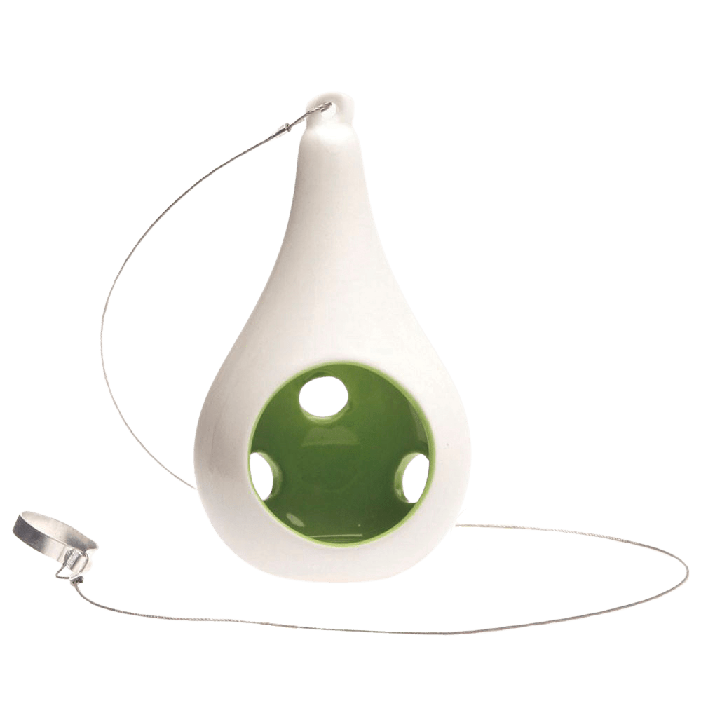 Pod Ceramic Hanging Air Plant Holder - Chive UK